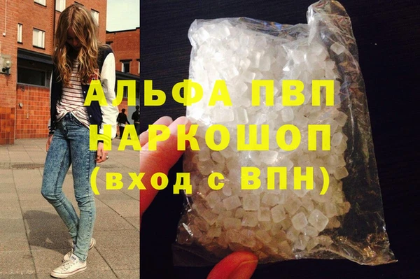 сатива Беломорск