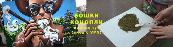 тгк Богородицк