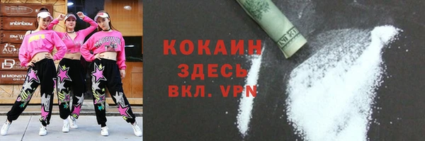 сатива Беломорск
