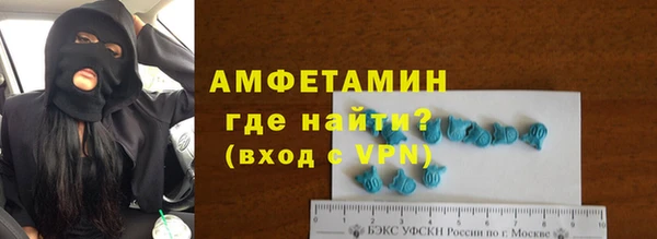 сатива Беломорск