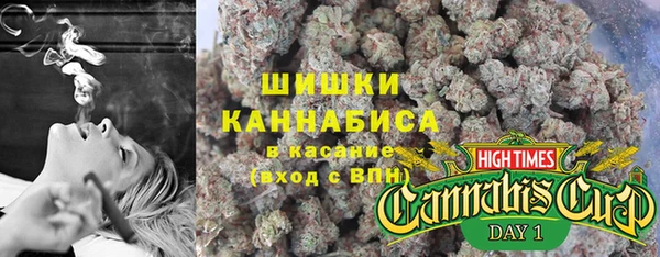 тгк Богородицк