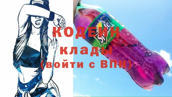прущий лед Богданович