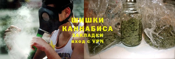 прущий лед Богданович