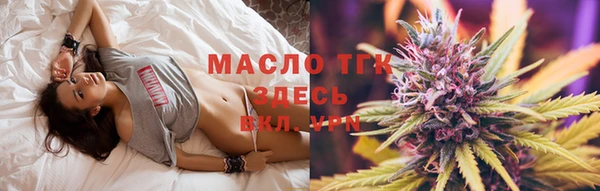 прущий лед Богданович